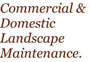 Commercial & Domestic Landscape Maintenance.